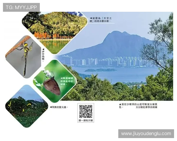 星空体育平台官网入口最新登录方法与安全保障指南